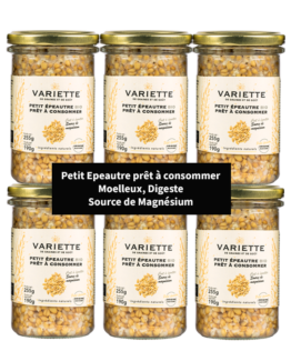 6 petits epeautre